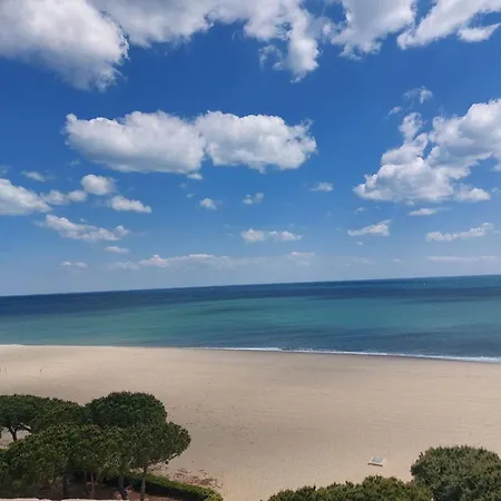 Avec Piscine Privée, Climatisation Et Jardin Clos - Argelès-sur-mer - Fr-1-776-67 *
