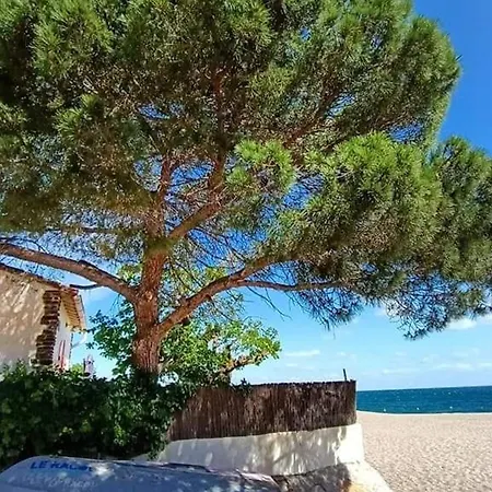 Avec Piscine Privee, Climatisation Et Jardin Clos - - Fr-1-776-67 * Argeles-sur-Mer