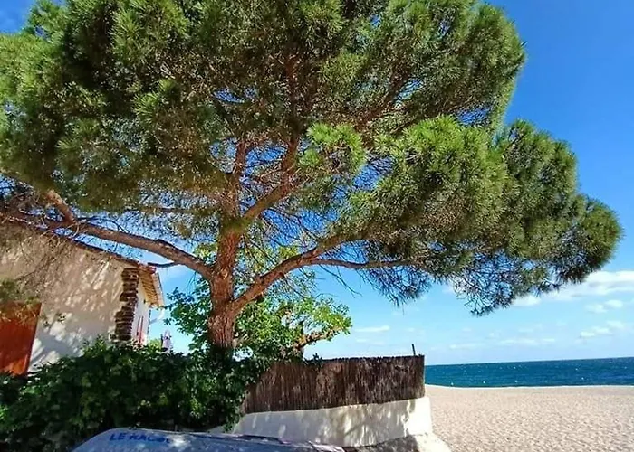 فيلة Avec Piscine Privee, Climatisation Et Jardin Clos - - Fr-1-776-67 أرجيليه- سور- مير